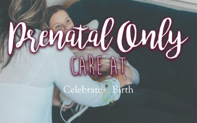 Prenatal Only Services at Celebrate Birth