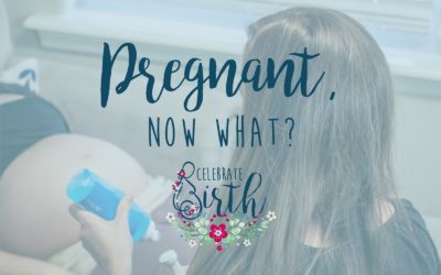 Pregnant, Now What?