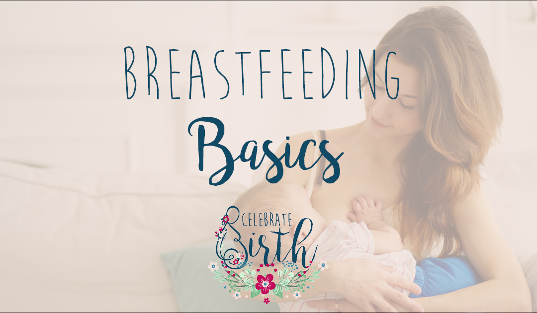 Breastfeeding Basics: The Nest