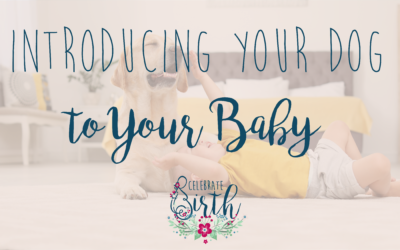 How to Introduce Your Dog to Your Baby