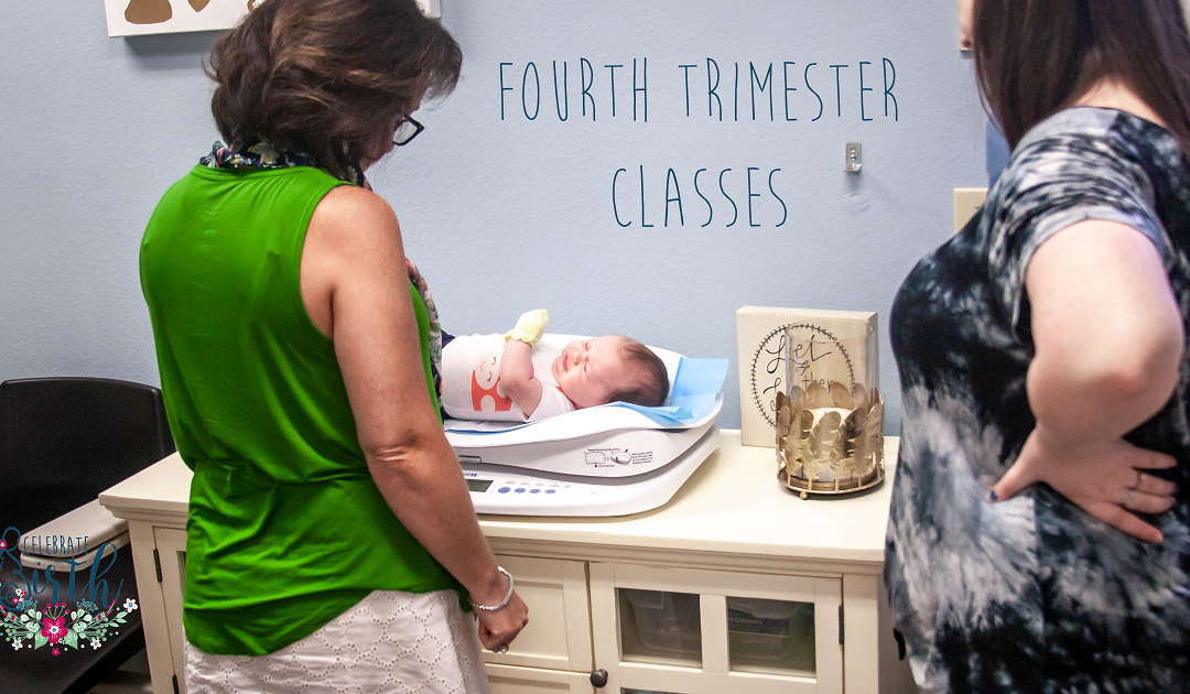 Fourth Trimester | Celebrate Birth