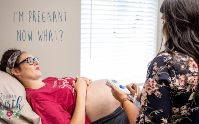 I’m Pregnant, Now What? | Celebrate Birth